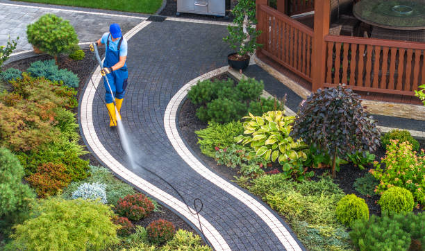 Local Pressure Washing Services in Waldo, FL